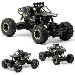 Metal Alloy Rock Crawler RC Car | 1:16 Scale Monster Truck Toy for Kids 5+ | Multicolor.