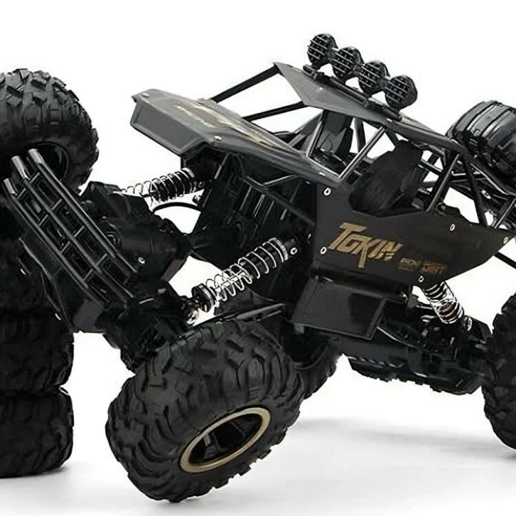 Metal Alloy Rock Crawler RC Car | 1:16 Scale Monster Truck Toy for Kids 5+ | Multicolor.