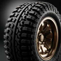 Metal Alloy Rock Crawler RC Car | 1:16 Scale Monster Truck Toy for Kids 5+ | Multicolor.